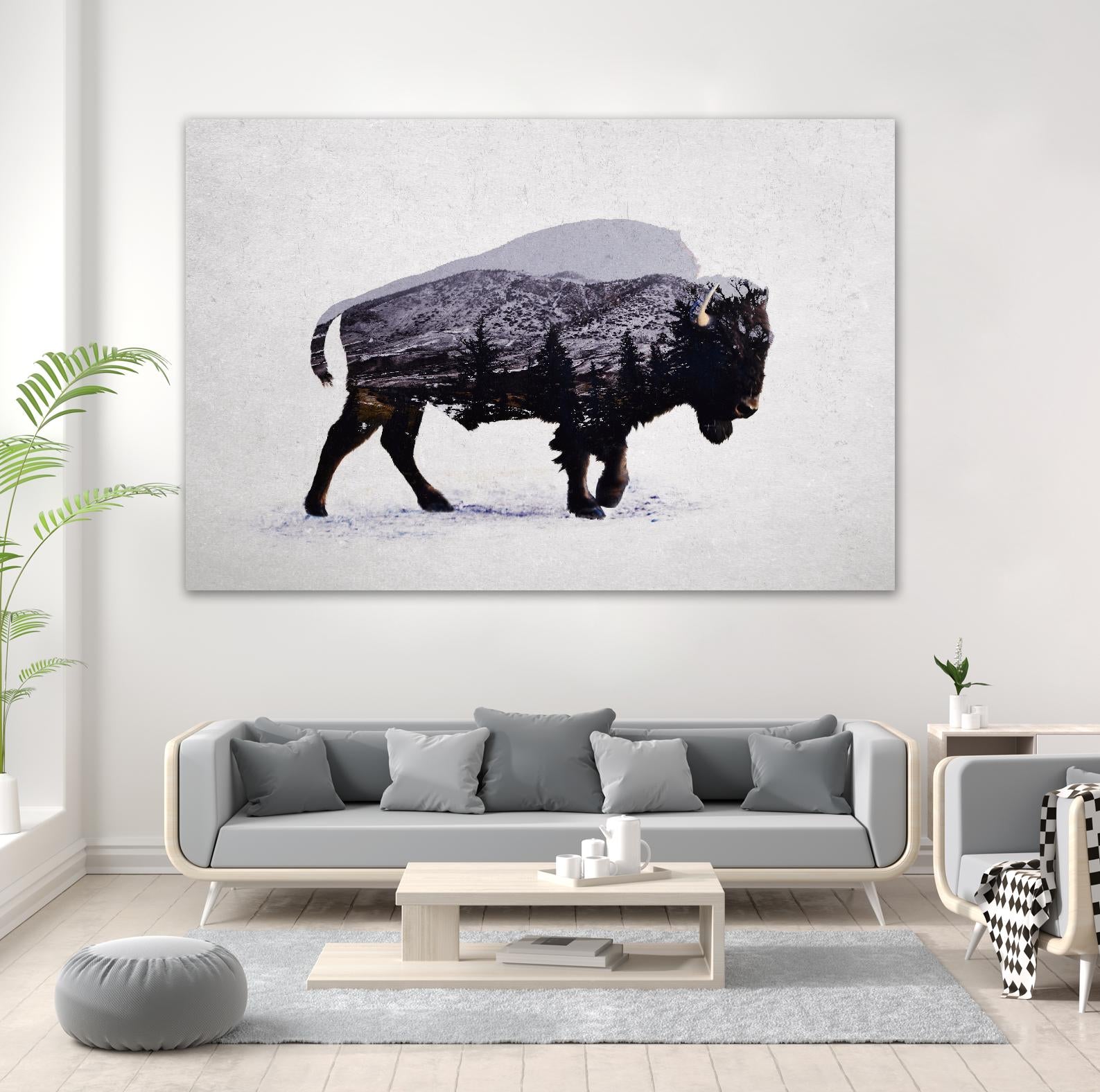 The American Bison by Davies Babies on GIANT ART - white animals