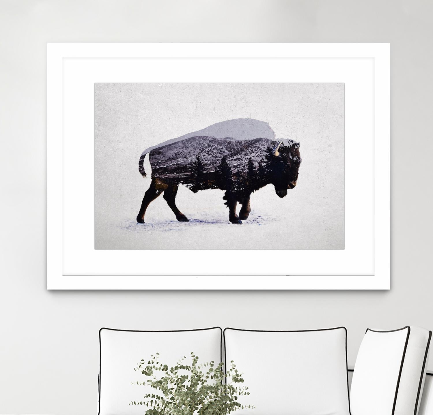 The American Bison by Davies Babies on GIANT ART - white animals