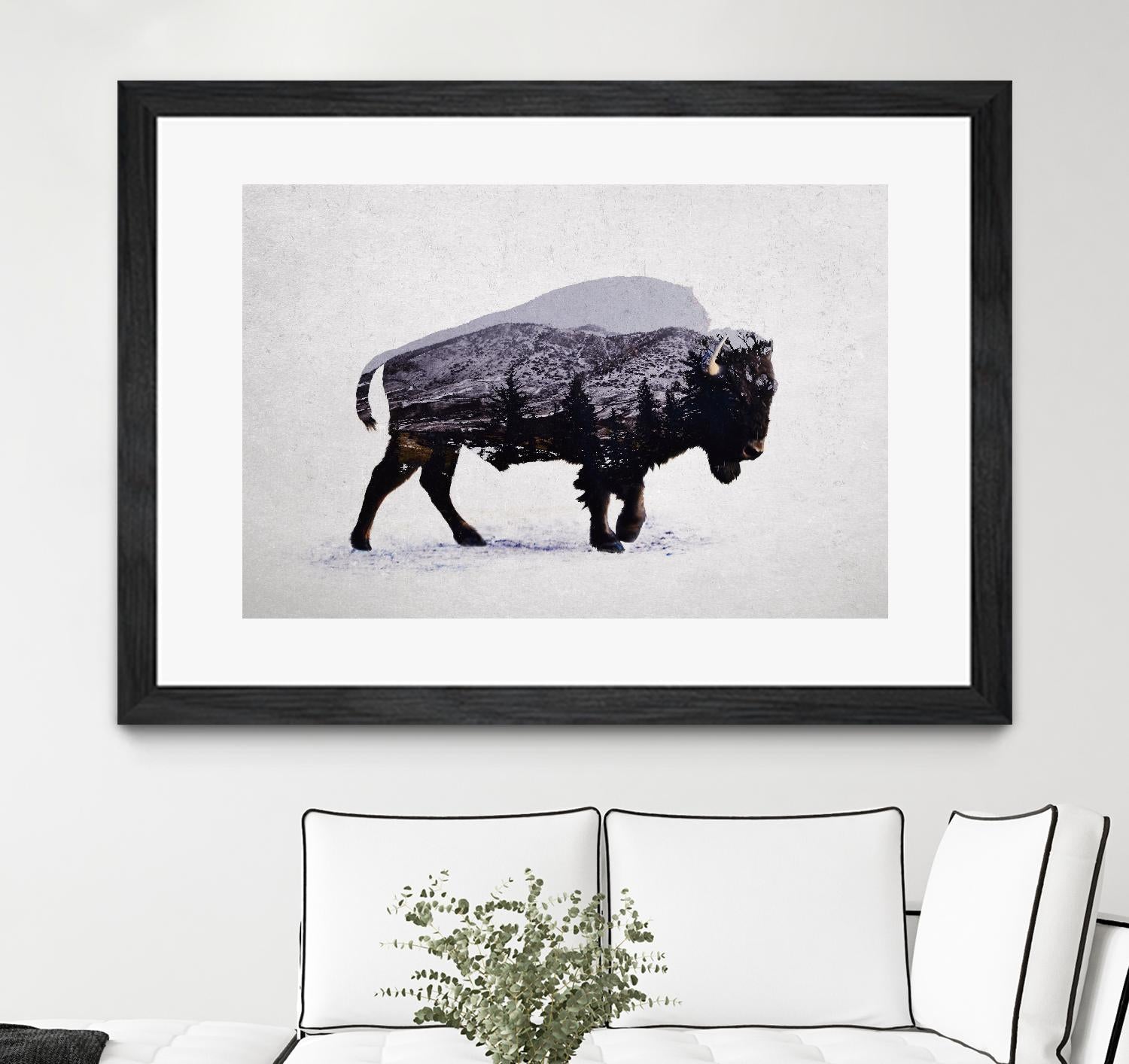 The American Bison by Davies Babies on GIANT ART - white animals