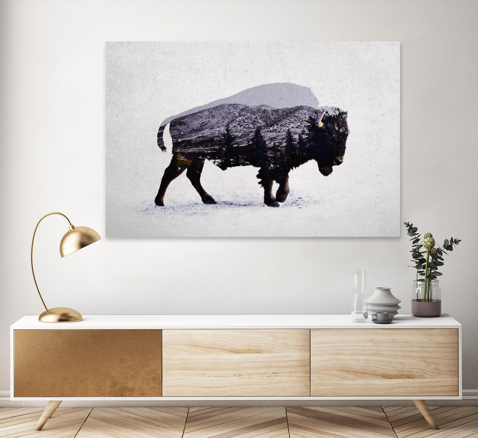 The American Bison by Davies Babies on GIANT ART - white animals