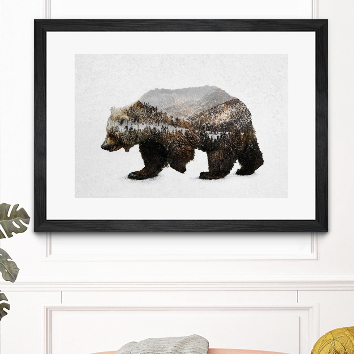 The Kodiak Brown Bear by Davies Babies on GIANT ART - white animals