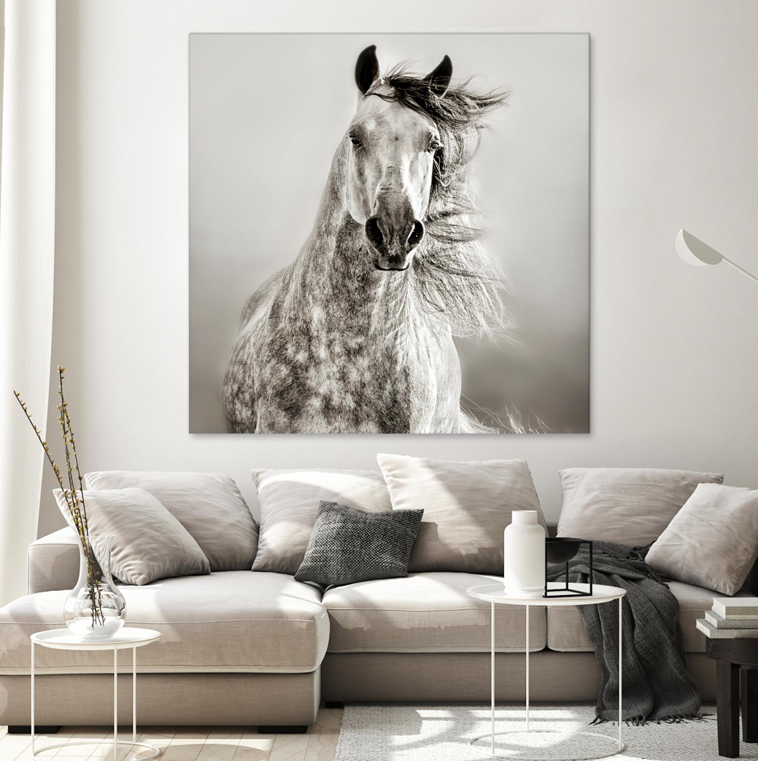Caballo de Andaluz by Lisa Dearing on GIANT ART - grey animals