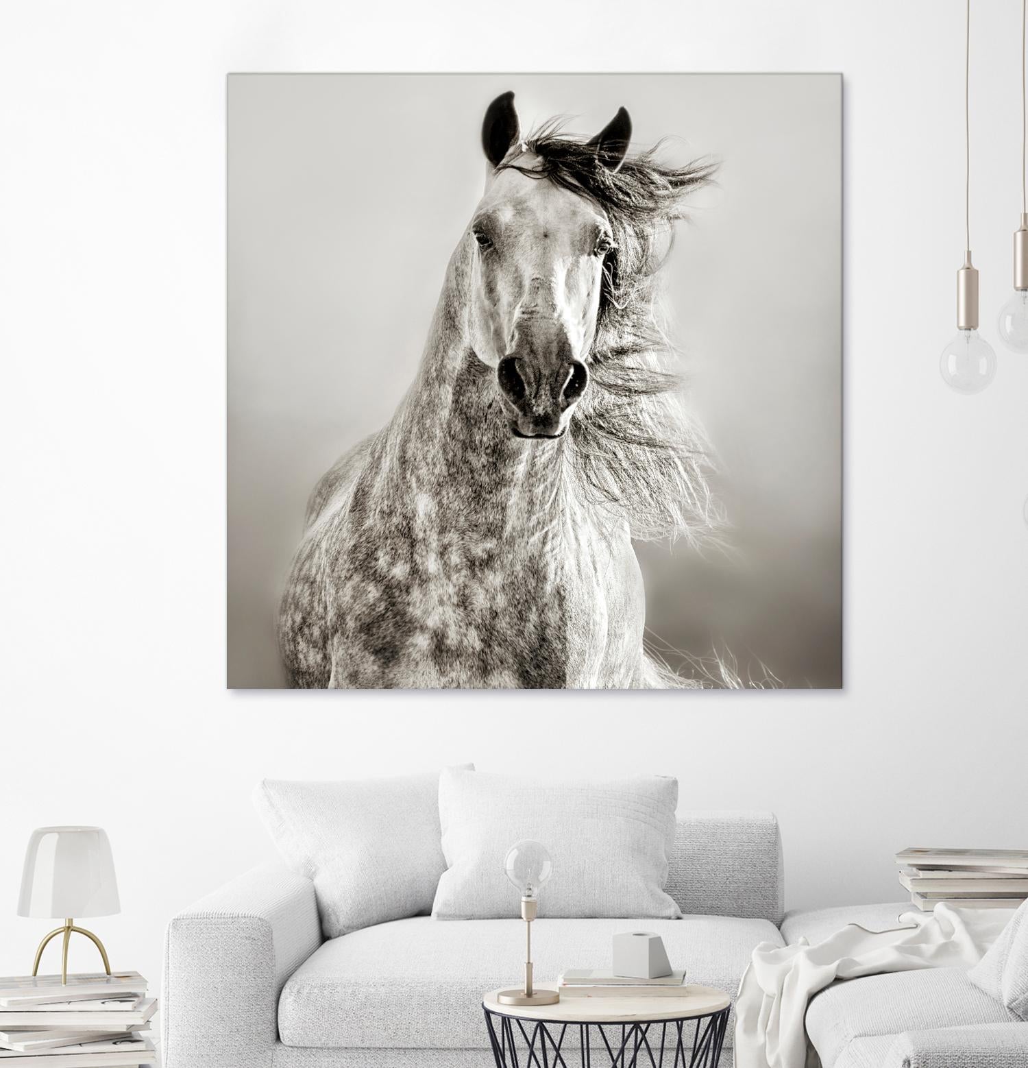 Caballo de Andaluz by Lisa Dearing on GIANT ART - grey animals