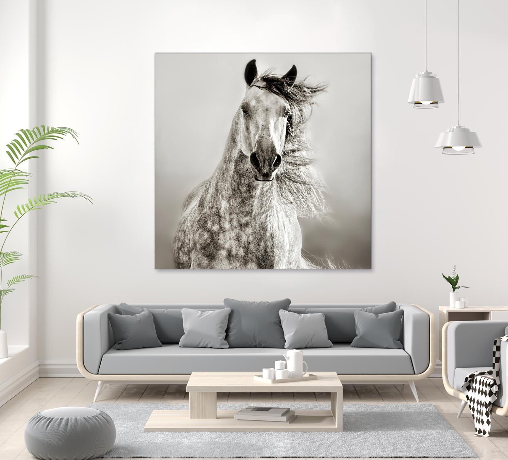 Caballo de Andaluz by Lisa Dearing on GIANT ART - grey animals