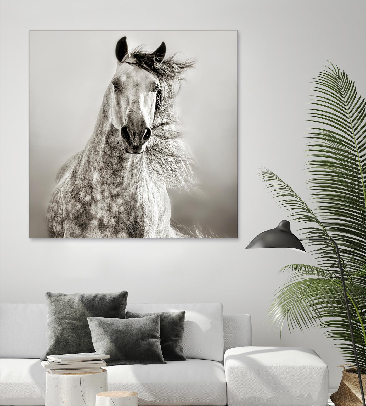 Caballo de Andaluz by Lisa Dearing on GIANT ART - grey animals