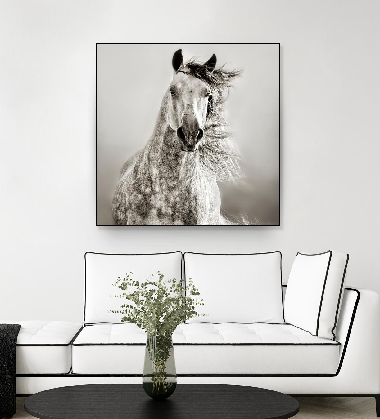 Caballo de Andaluz by Lisa Dearing on GIANT ART - grey animals