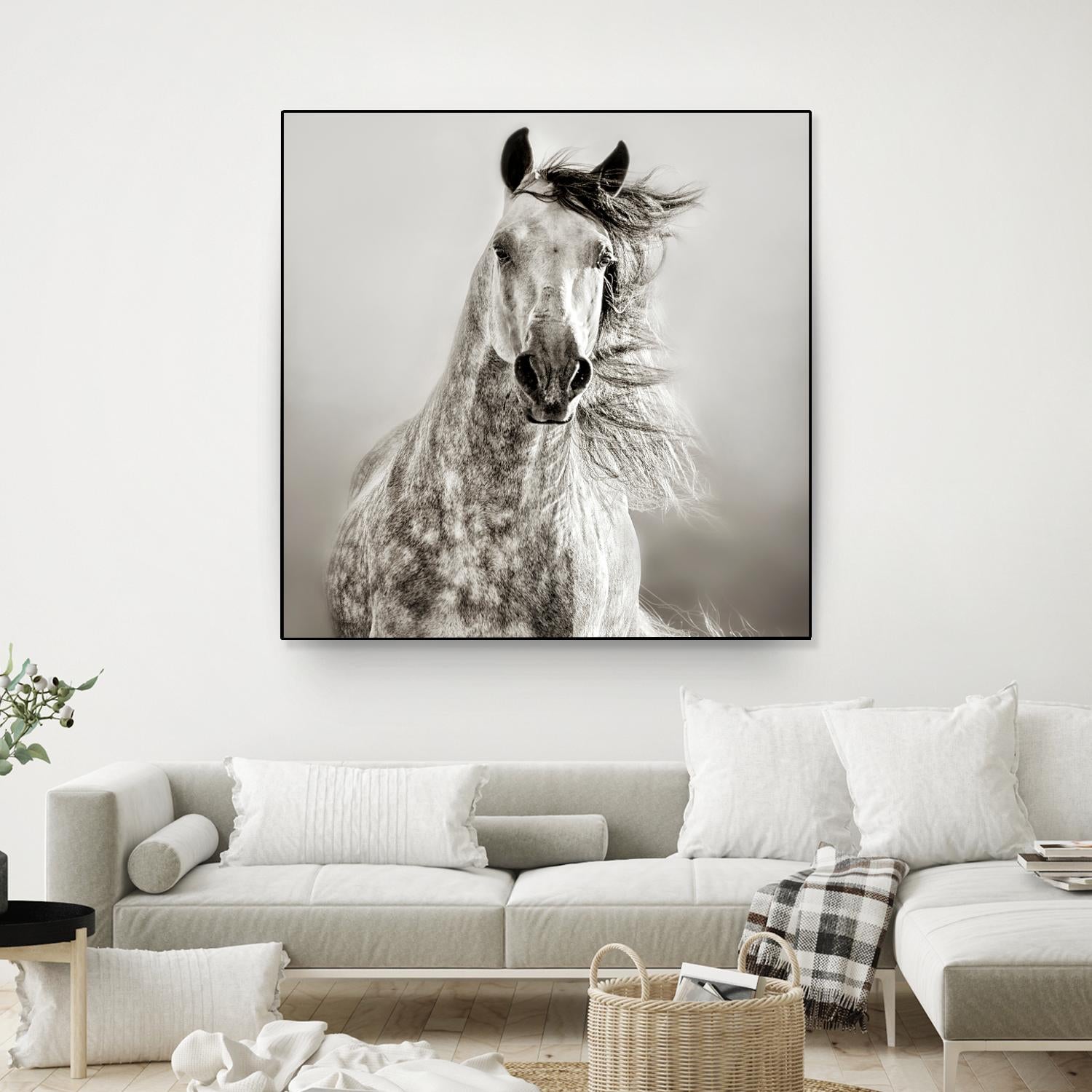 Caballo de Andaluz by Lisa Dearing on GIANT ART - grey animals