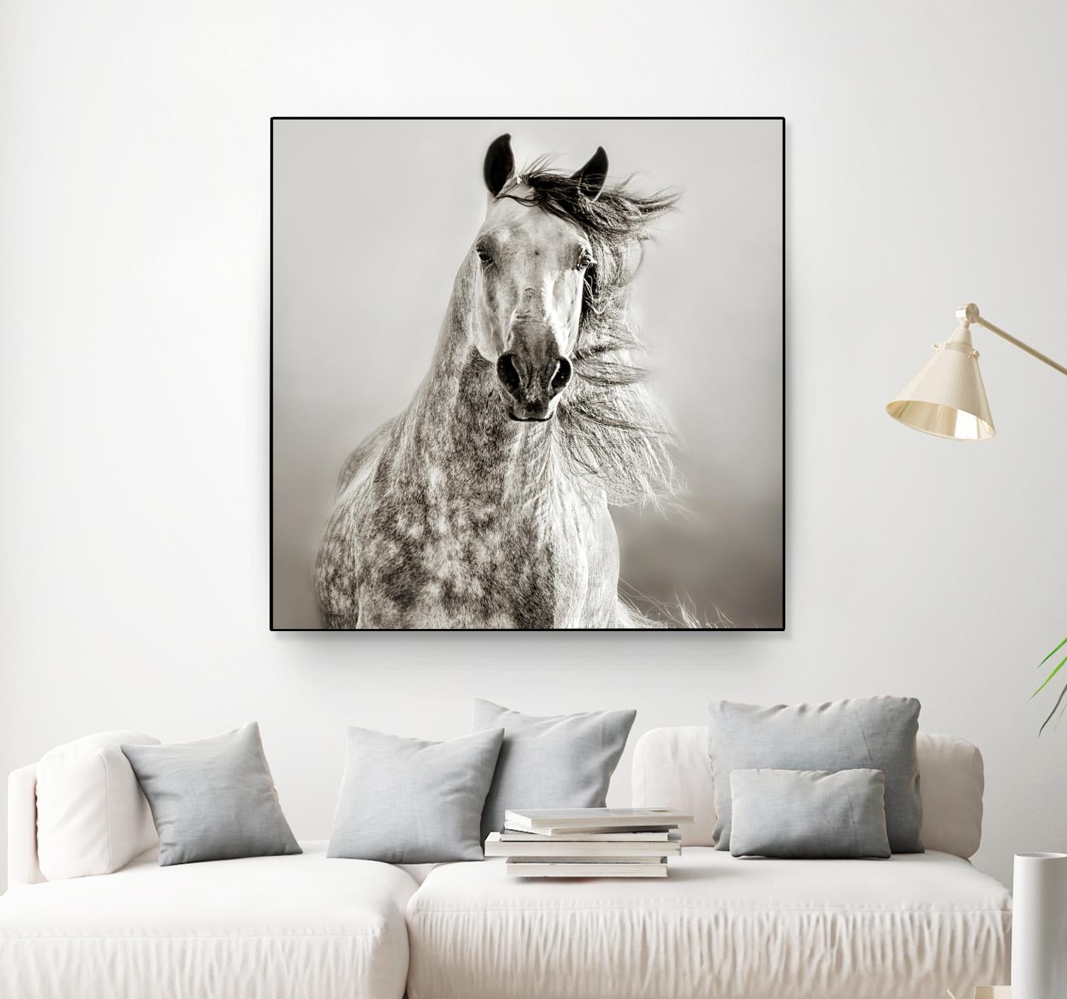Caballo de Andaluz by Lisa Dearing on GIANT ART - grey animals