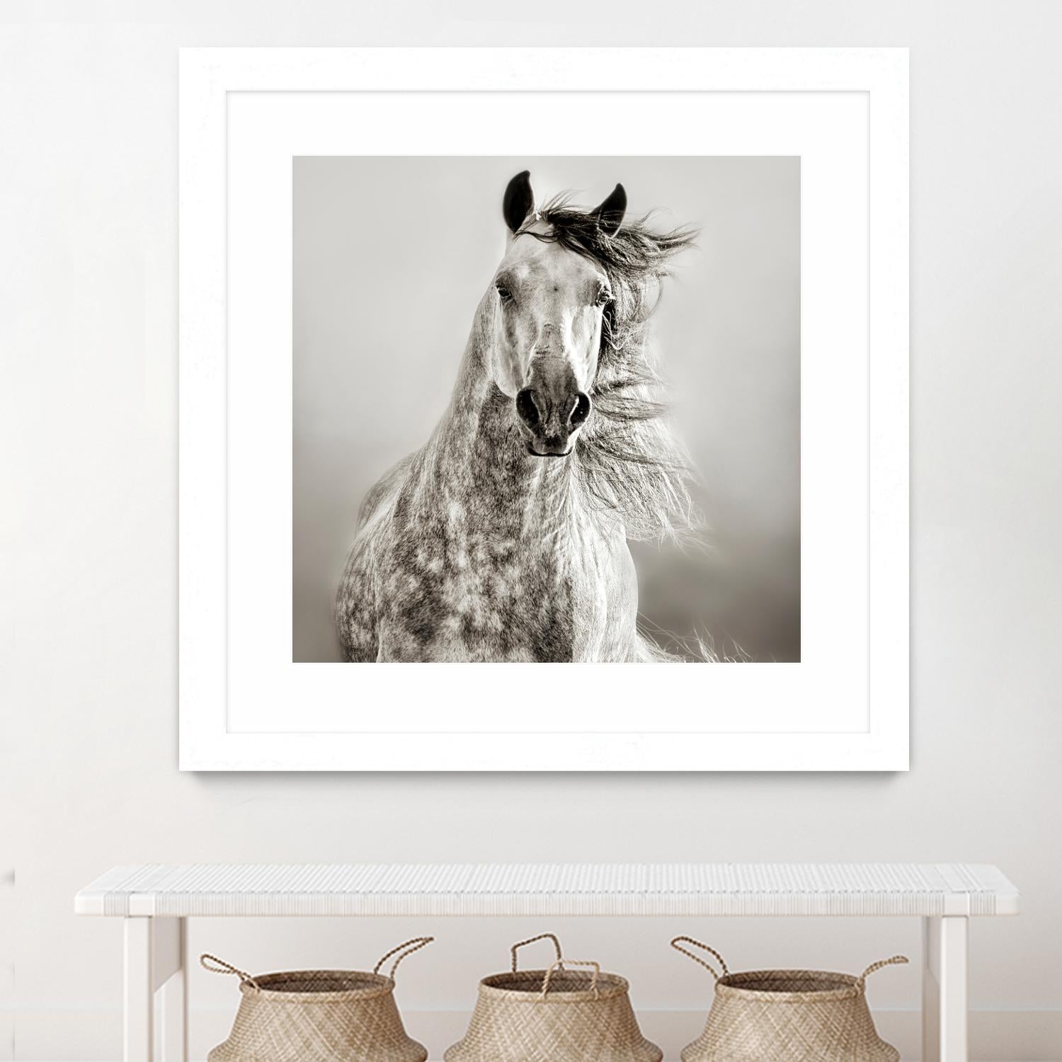 Caballo de Andaluz by Lisa Dearing on GIANT ART - grey animals