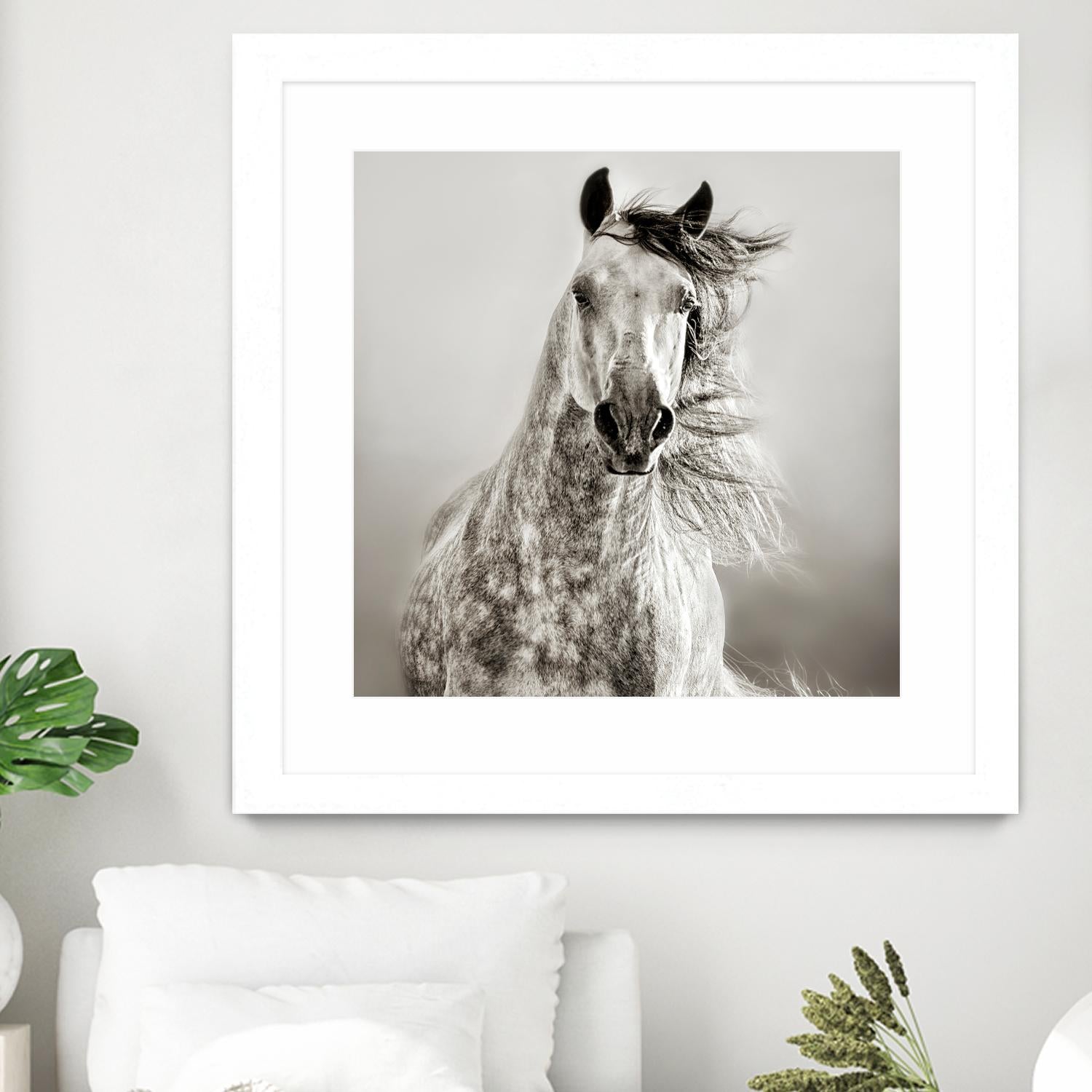 Caballo de Andaluz by Lisa Dearing on GIANT ART - grey animals