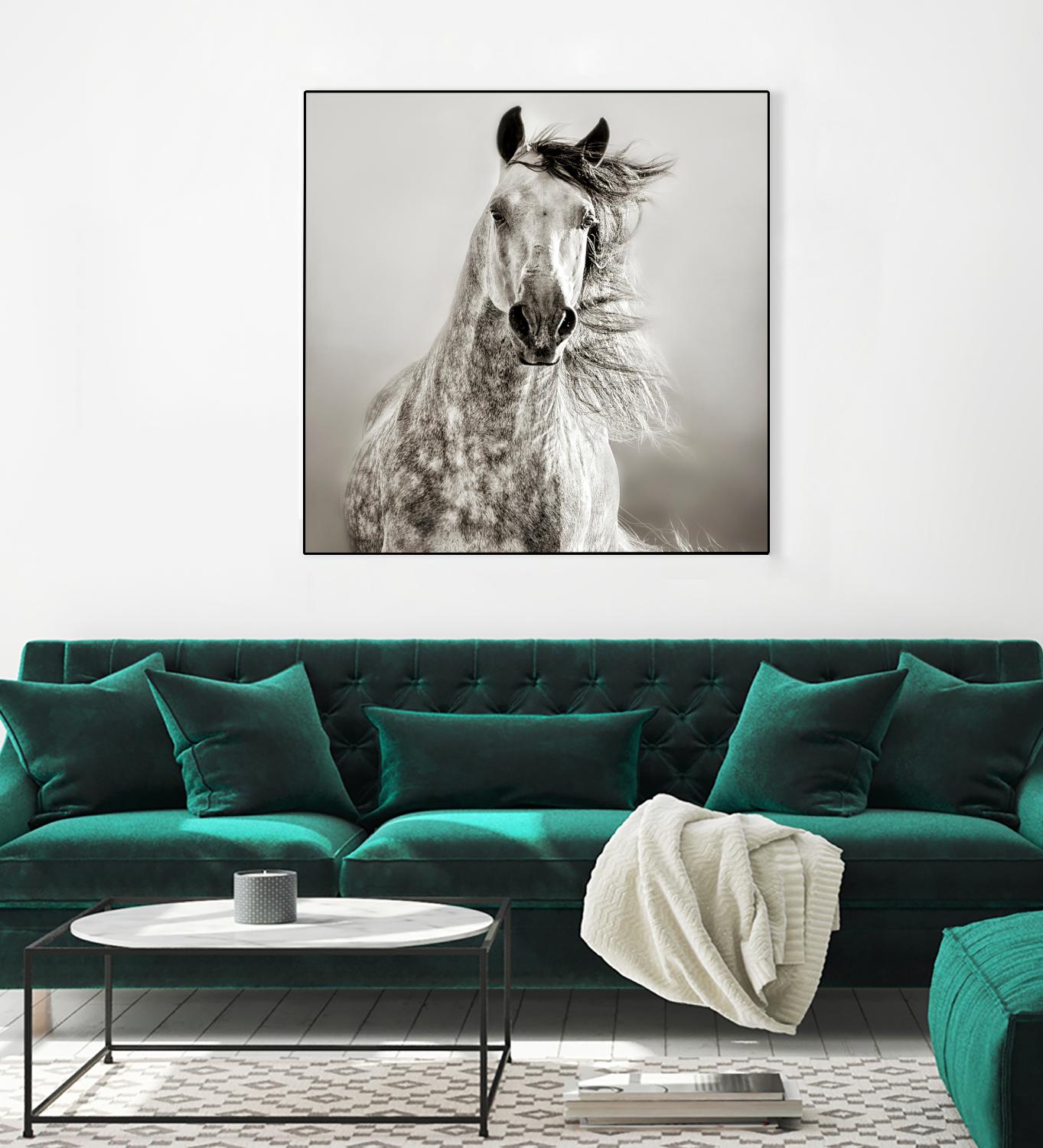 Caballo de Andaluz by Lisa Dearing on GIANT ART - grey animals