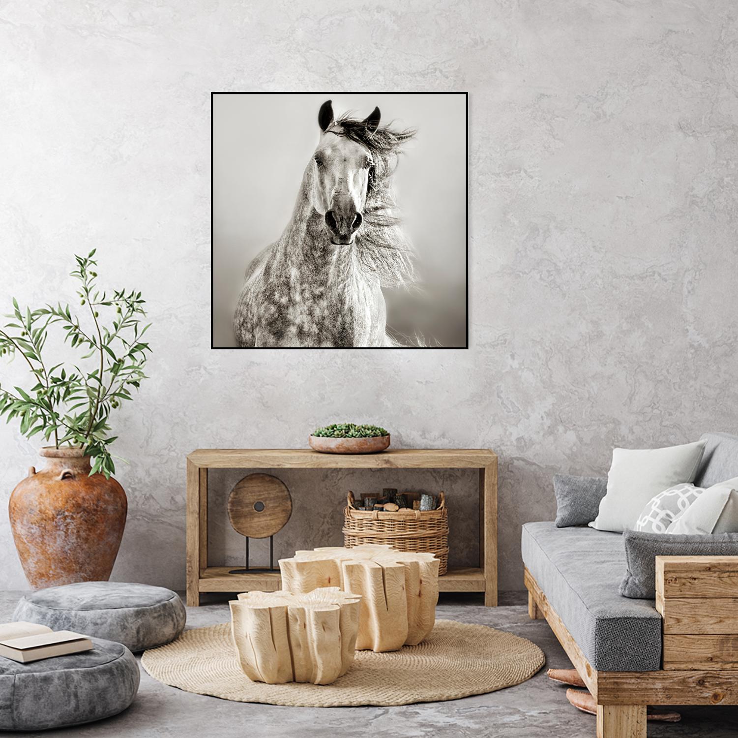 Caballo de Andaluz by Lisa Dearing on GIANT ART - grey animals