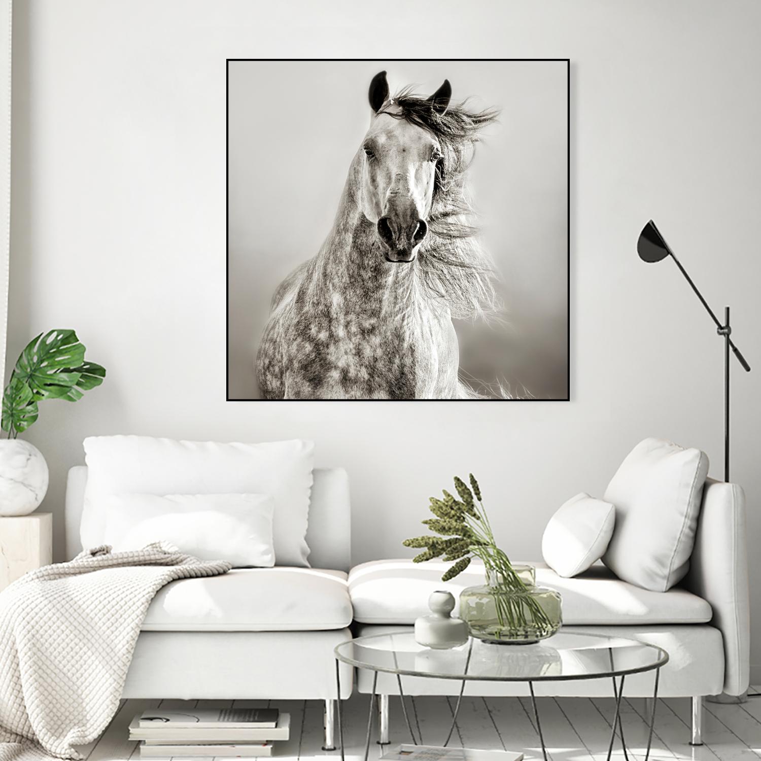 Caballo de Andaluz by Lisa Dearing on GIANT ART - grey animals
