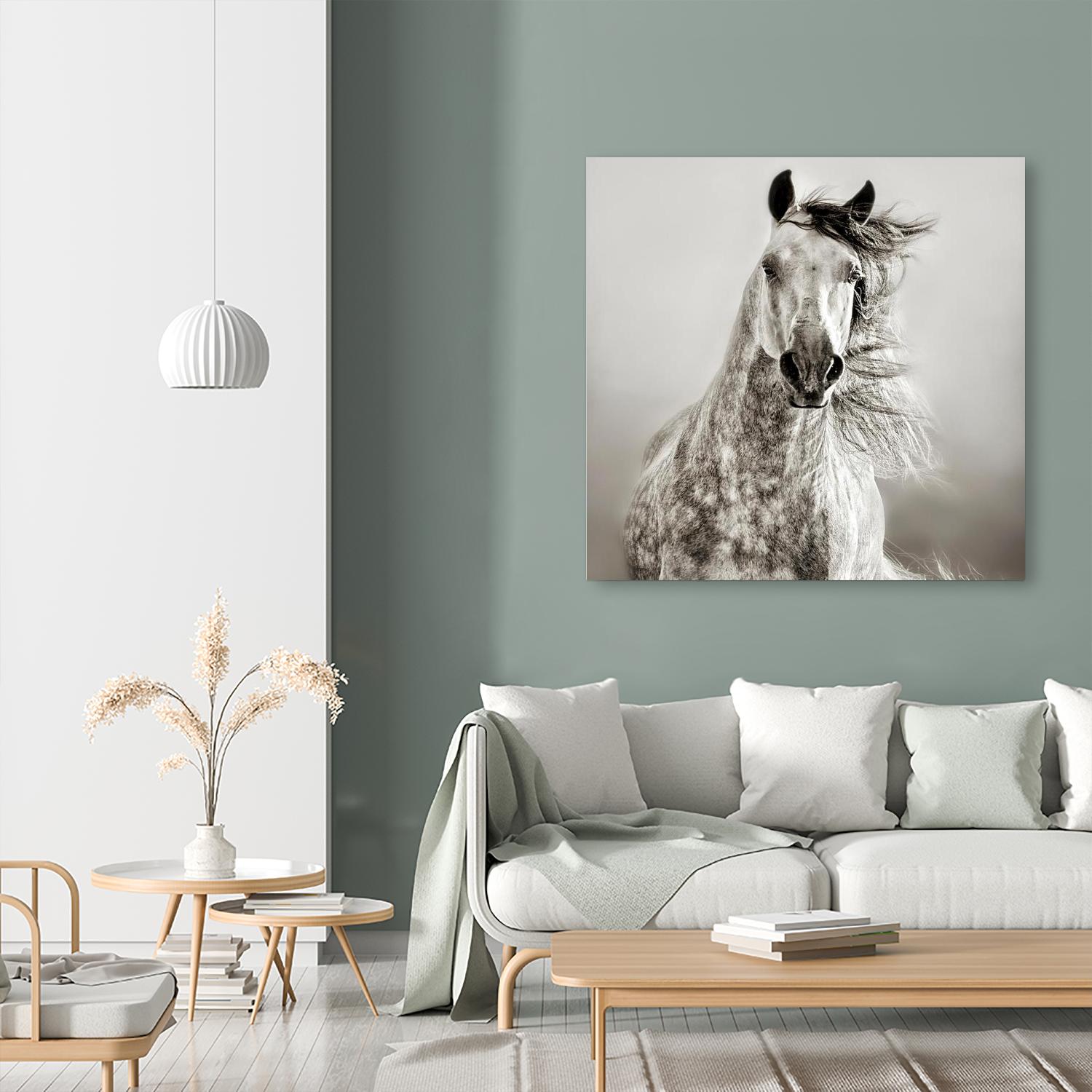 Caballo de Andaluz by Lisa Dearing on GIANT ART - grey animals