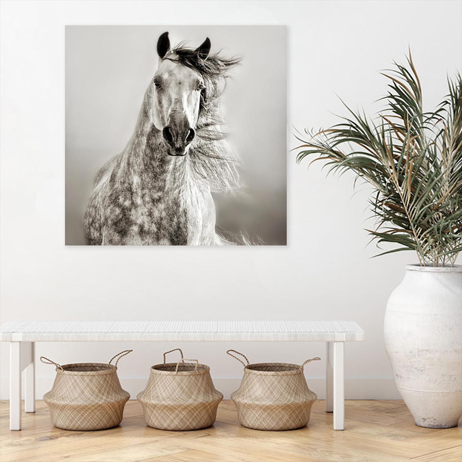 Caballo de Andaluz by Lisa Dearing on GIANT ART - grey animals