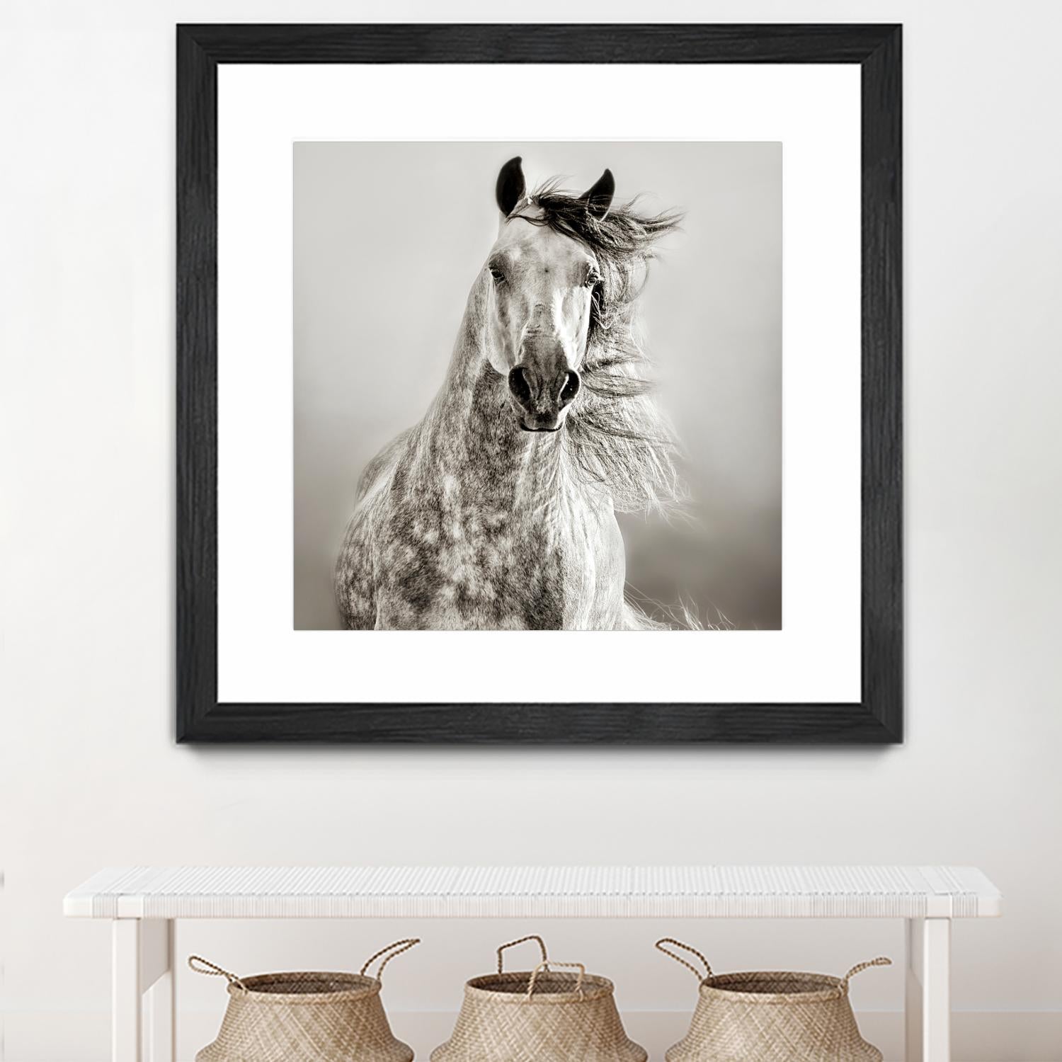 Caballo de Andaluz by Lisa Dearing on GIANT ART - grey animals