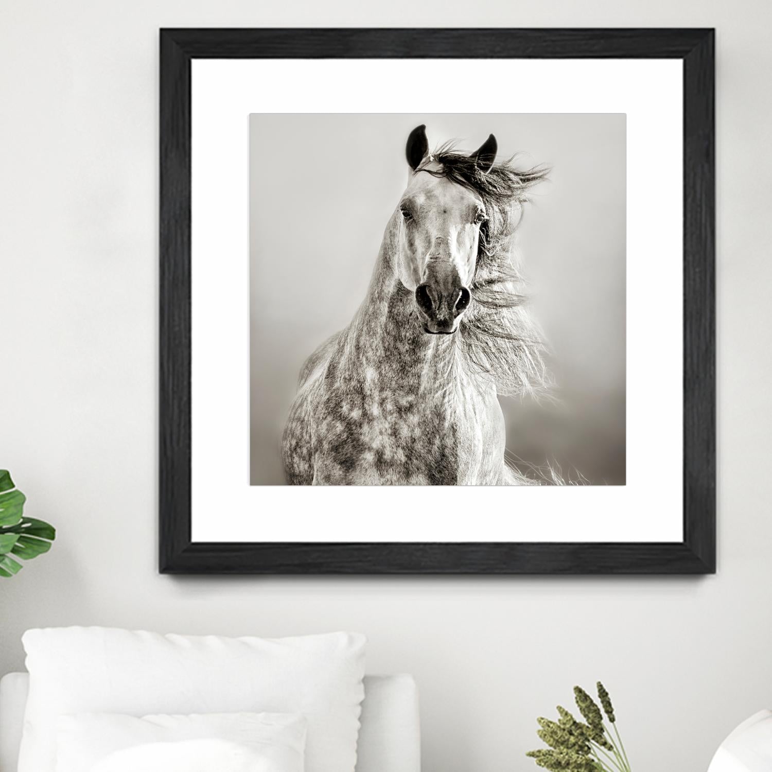 Caballo de Andaluz by Lisa Dearing on GIANT ART - grey animals