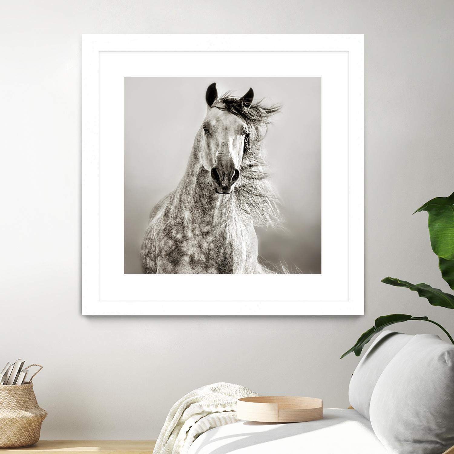 Caballo de Andaluz by Lisa Dearing on GIANT ART - grey animals