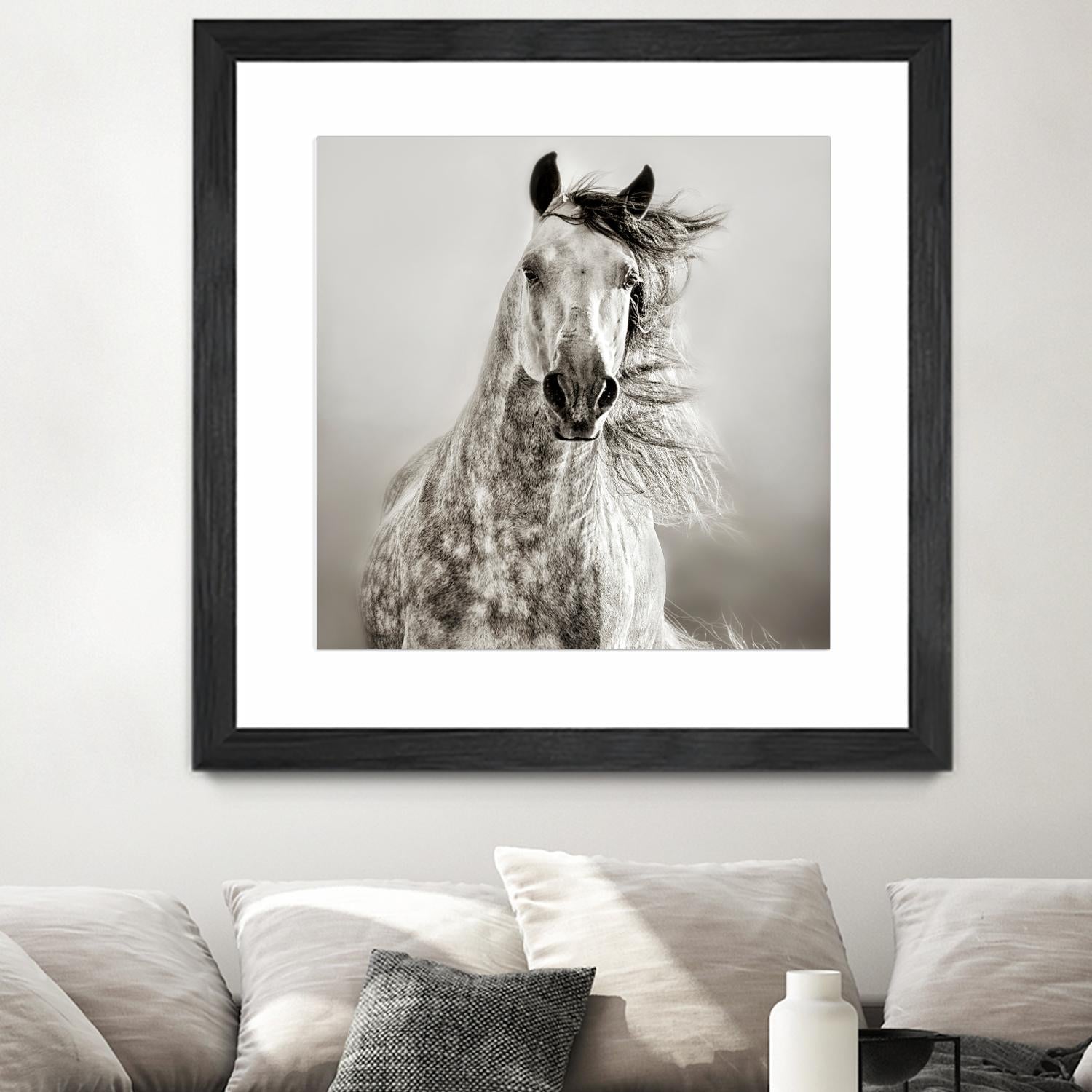 Caballo de Andaluz by Lisa Dearing on GIANT ART - grey animals
