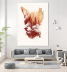 Blind Fox by Robert Farkas on GIANT ART - orange animals