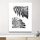 Double Philodendron (BW) by Lexie Greer on GIANT ART - multicolor photography; floral/still life
