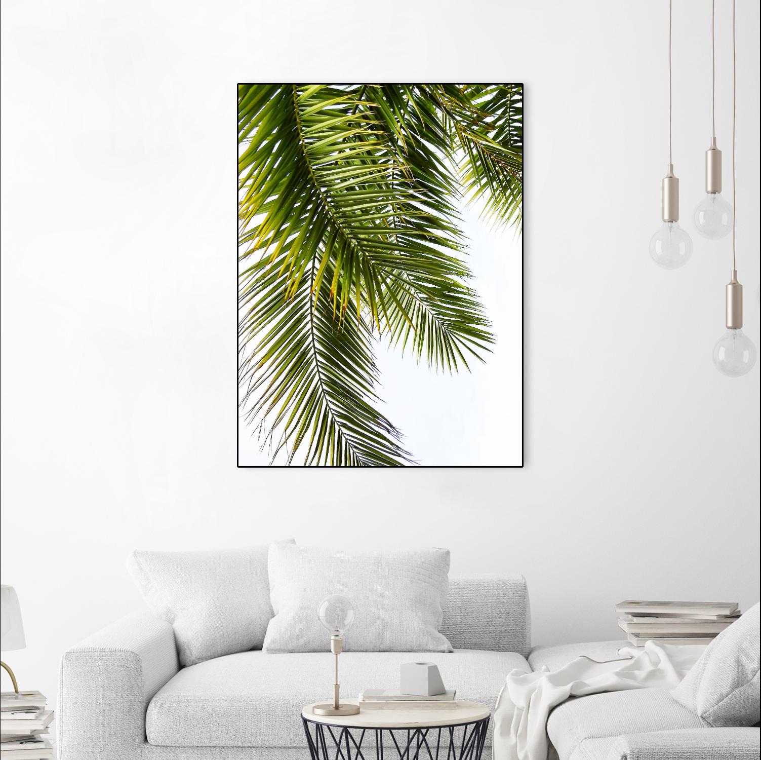 Palm Leaves by Lexie Greer on GIANT ART - multicolor photography; floral/still life