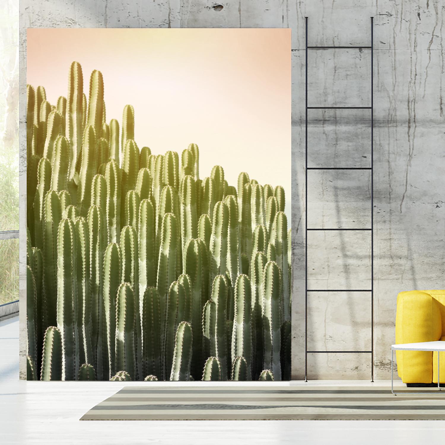 Pink Sky Cactus by Lexie Greer on GIANT ART - multicolor photography; floral/still life