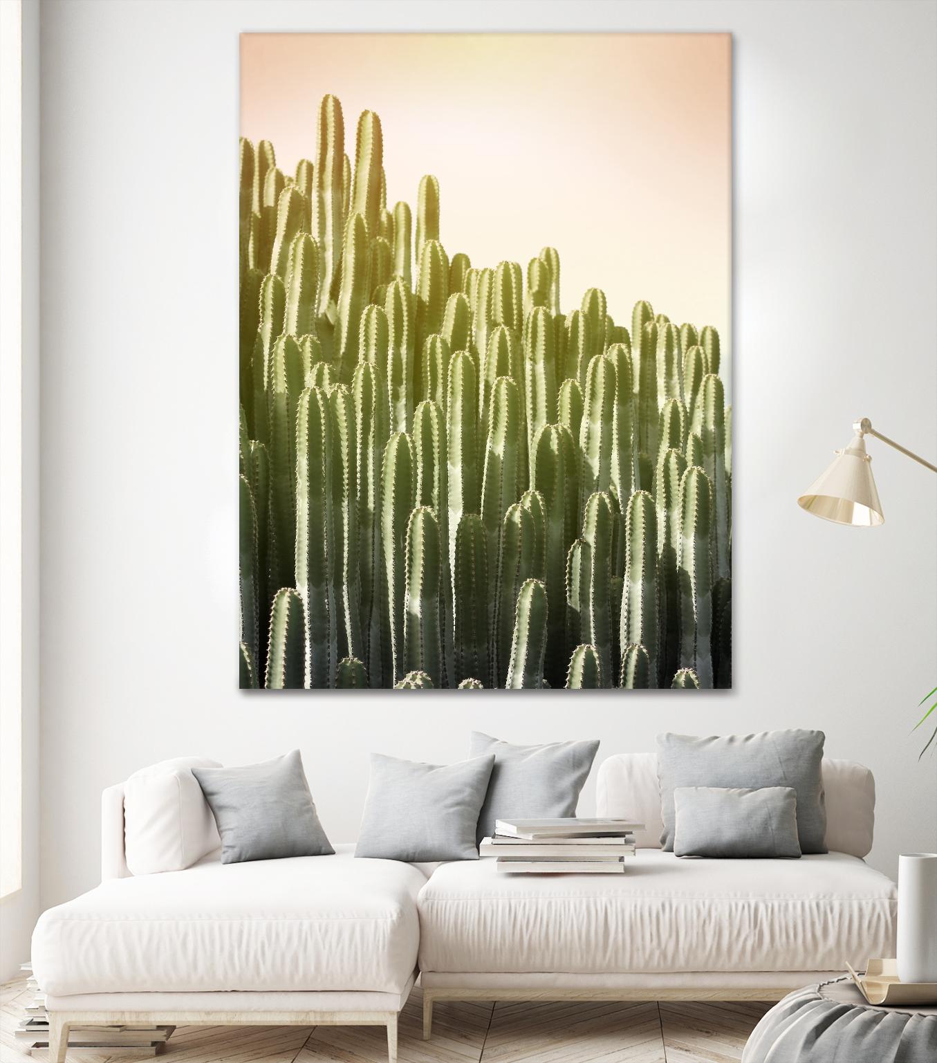 Pink Sky Cactus by Lexie Greer on GIANT ART - multicolor photography; floral/still life