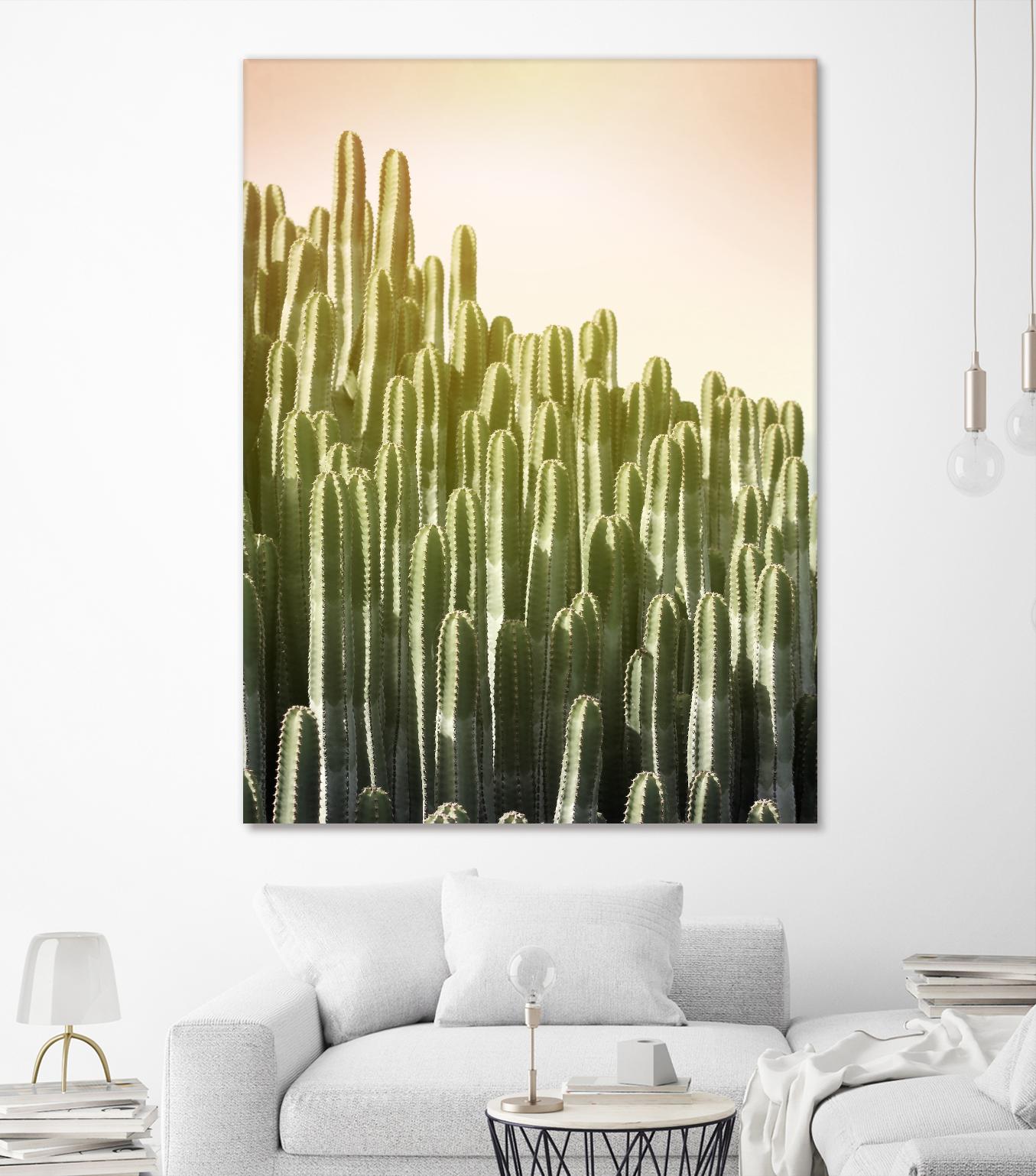 Pink Sky Cactus by Lexie Greer on GIANT ART - multicolor photography; floral/still life