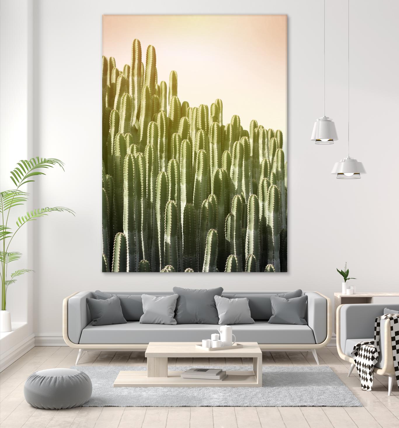 Pink Sky Cactus by Lexie Greer on GIANT ART - multicolor photography; floral/still life