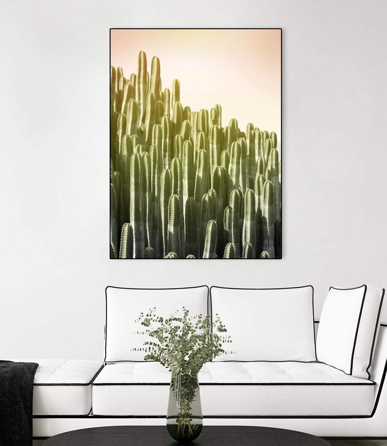 Pink Sky Cactus by Lexie Greer on GIANT ART - multicolor photography; floral/still life