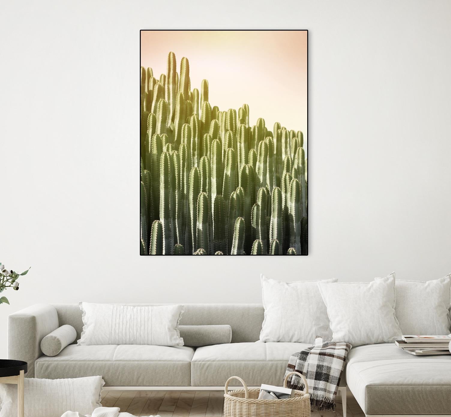 Pink Sky Cactus by Lexie Greer on GIANT ART - multicolor photography; floral/still life