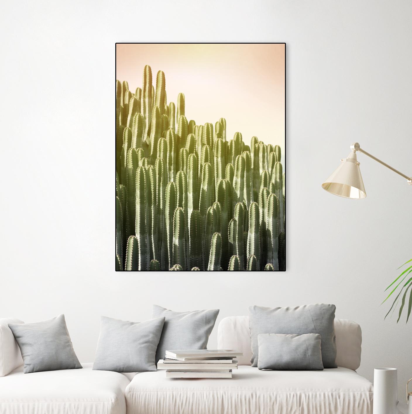 Pink Sky Cactus by Lexie Greer on GIANT ART - multicolor photography; floral/still life