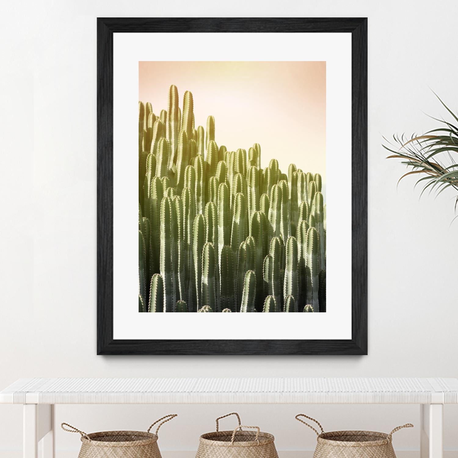 Pink Sky Cactus by Lexie Greer on GIANT ART - multicolor photography; floral/still life