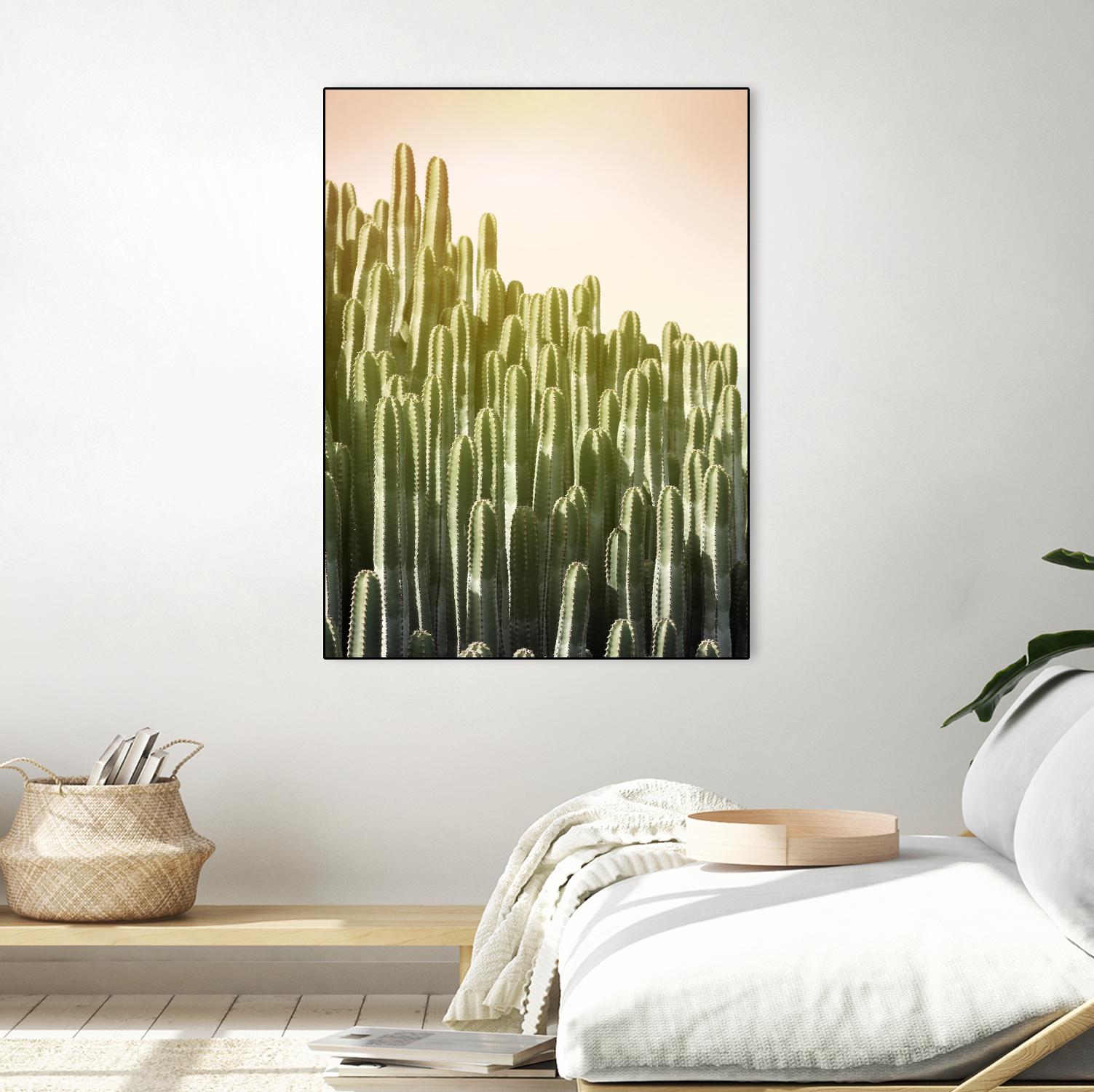 Pink Sky Cactus by Lexie Greer on GIANT ART - multicolor photography; floral/still life