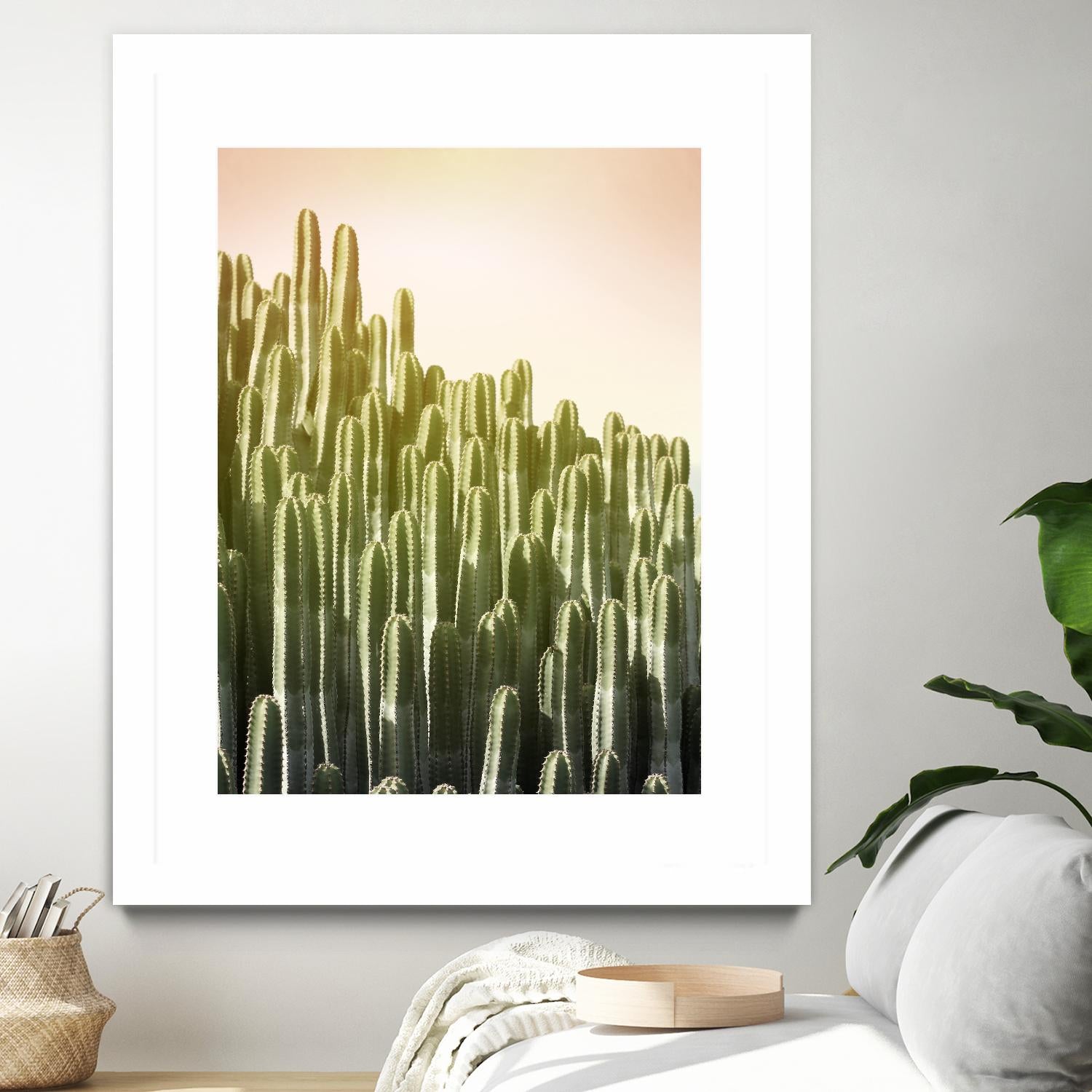 Pink Sky Cactus by Lexie Greer on GIANT ART - multicolor photography; floral/still life