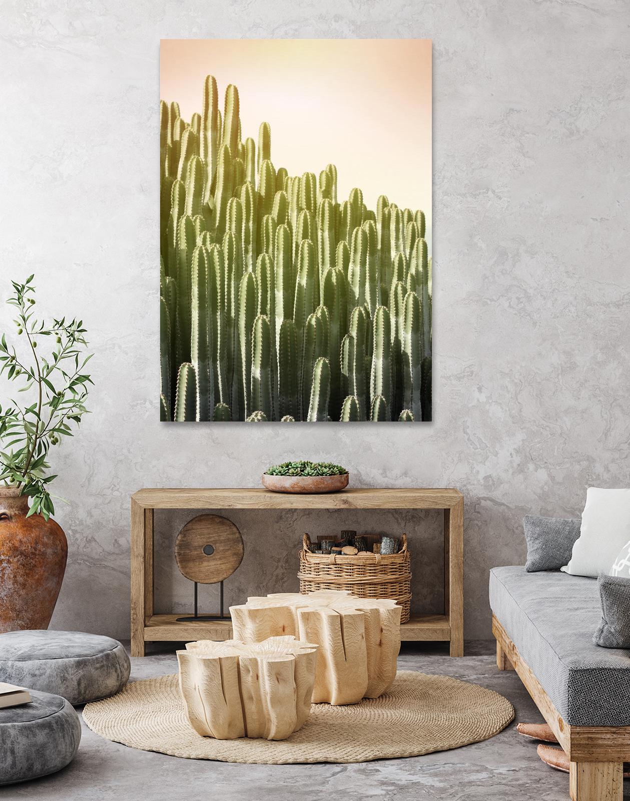 Pink Sky Cactus by Lexie Greer on GIANT ART - multicolor photography; floral/still life