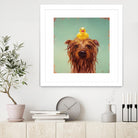 Bath Time by Lucia Heffernan on GIANT ART - multicolor urban/pop surrealism; animals