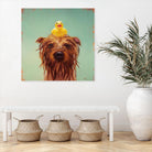 Bath Time by Lucia Heffernan on GIANT ART - multicolor urban/pop surrealism; animals