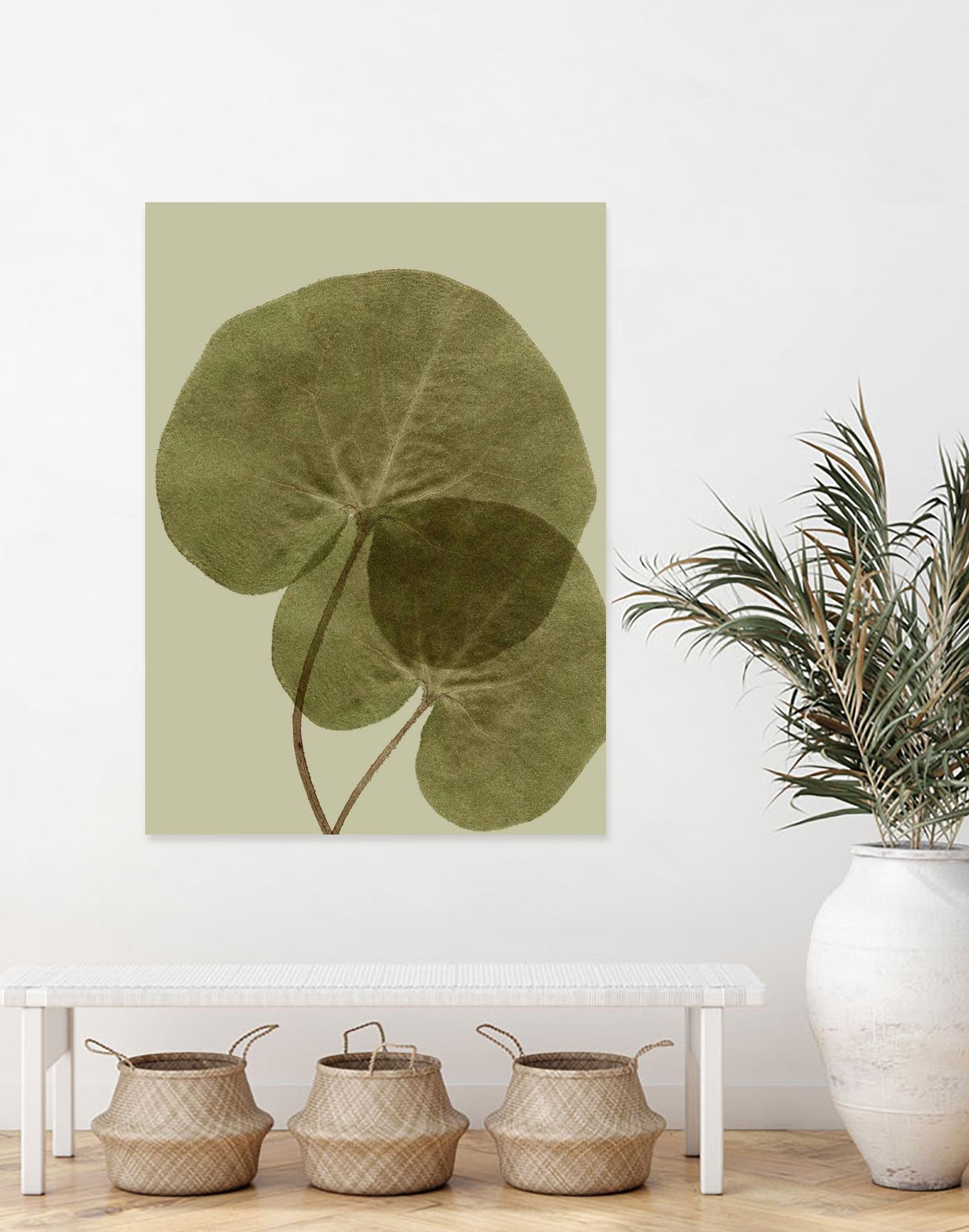 Heaven on 3rd II by Incado on GIANT ART - multicolor floral/still life; contemporary