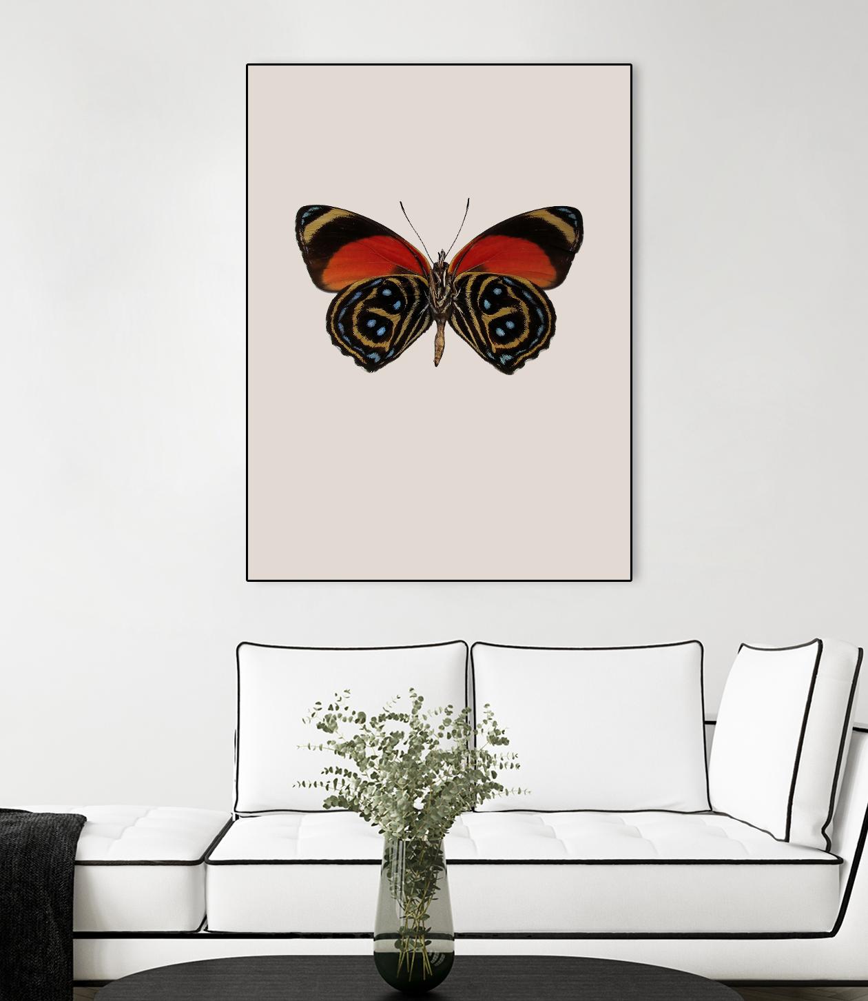 Agrias amydon by Incado on GIANT ART - multicolor animals; floral/still life