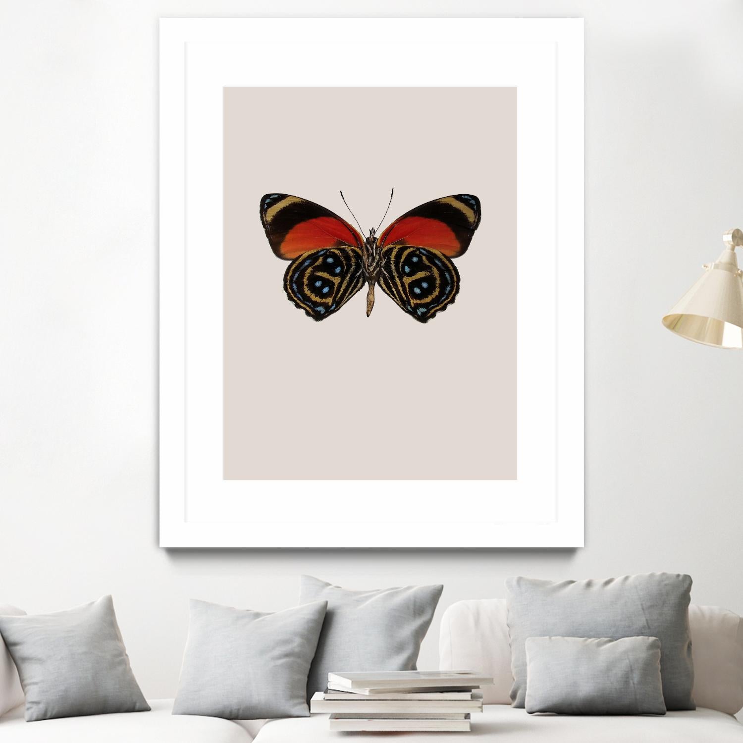 Agrias amydon by Incado on GIANT ART - multicolor animals; floral/still life