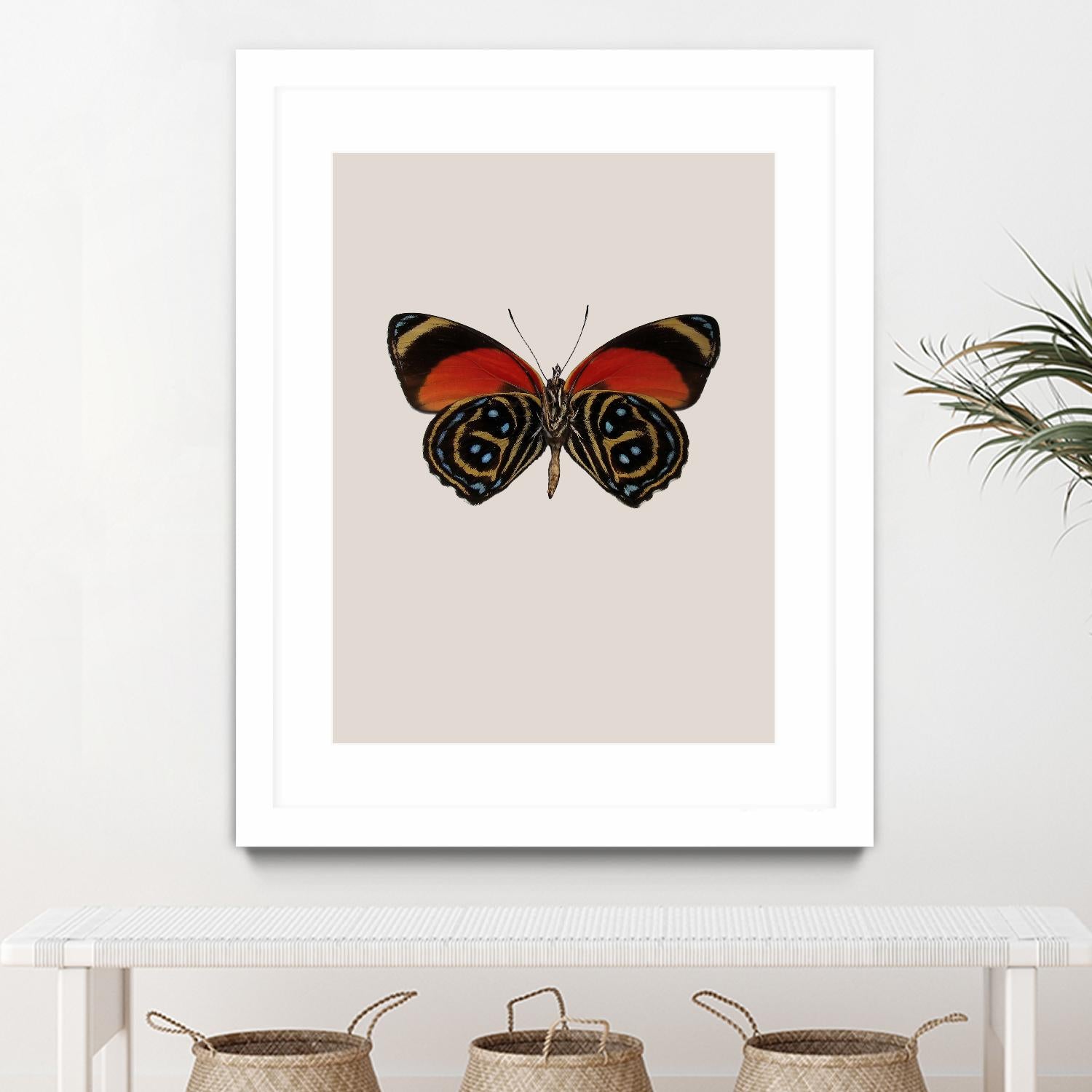 Agrias amydon by Incado on GIANT ART - multicolor animals; floral/still life