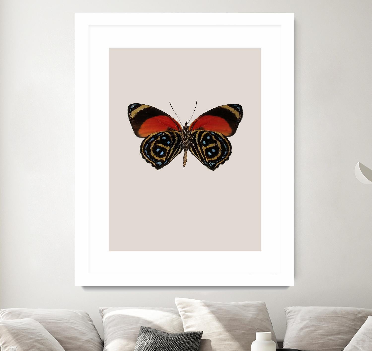 Agrias amydon by Incado on GIANT ART - multicolor animals; floral/still life