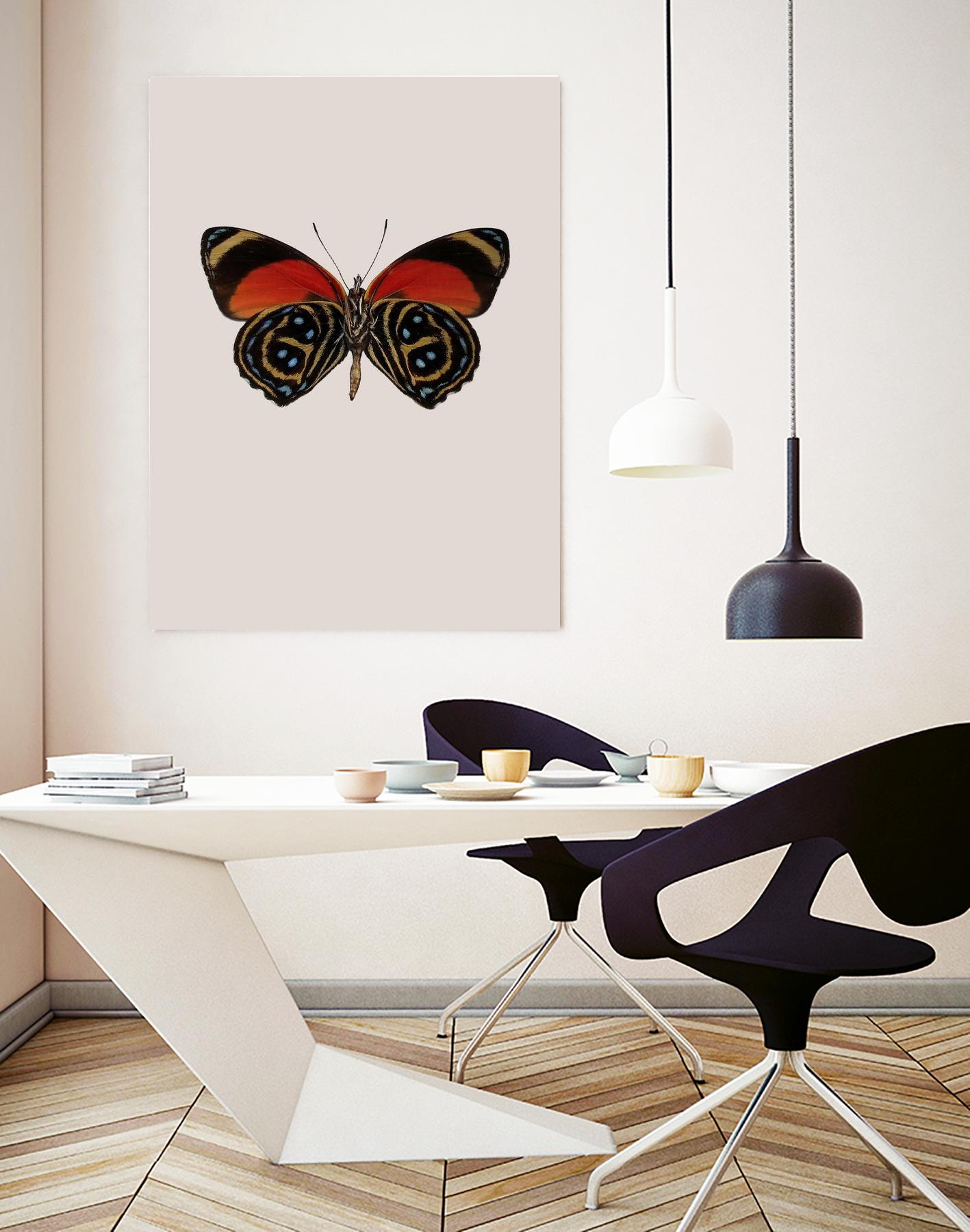 Agrias amydon by Incado on GIANT ART - multicolor animals; floral/still life