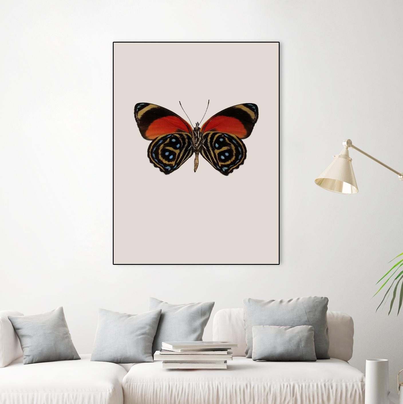 Agrias amydon by Incado on GIANT ART - multicolor animals; floral/still life