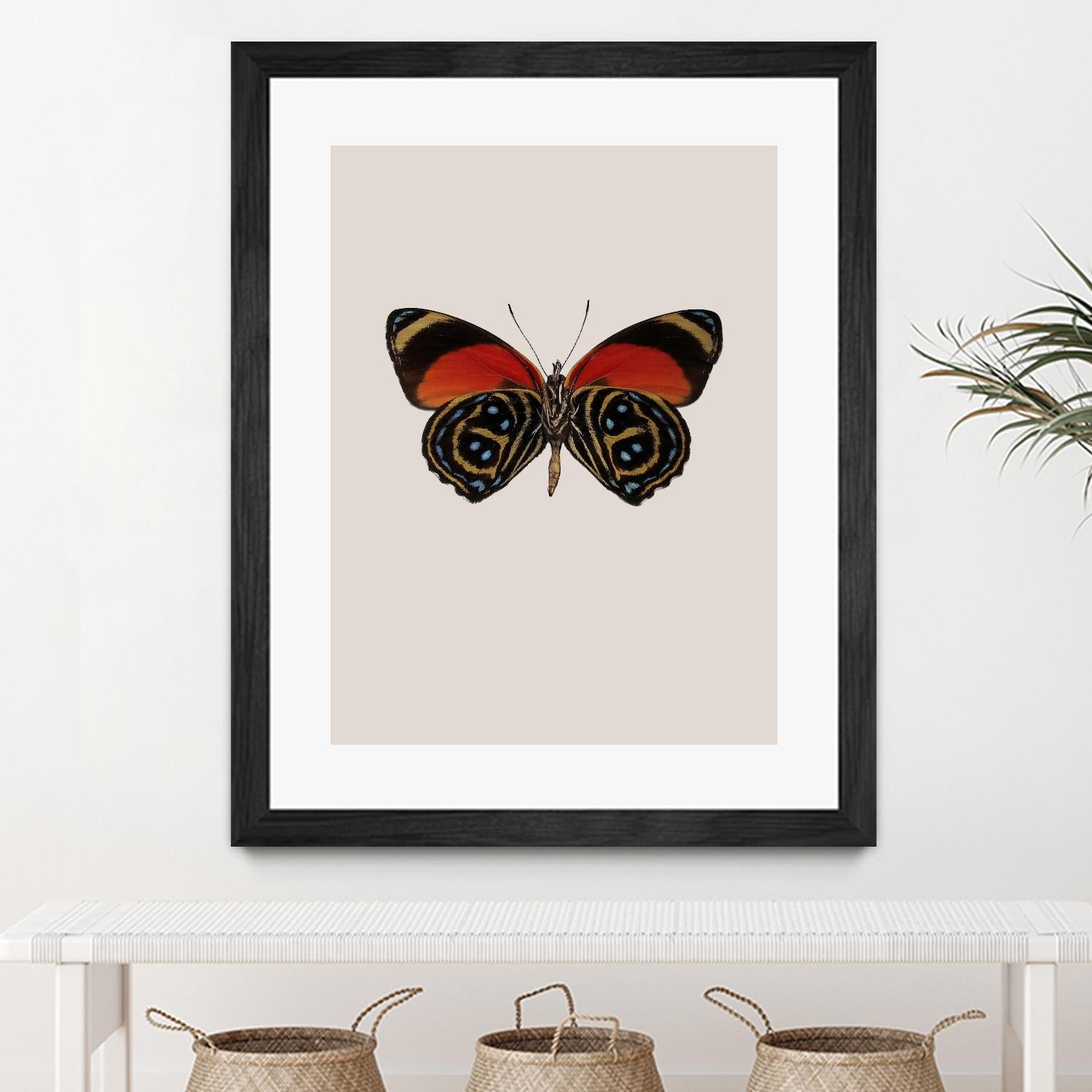 Agrias amydon by Incado on GIANT ART - multicolor animals; floral/still life