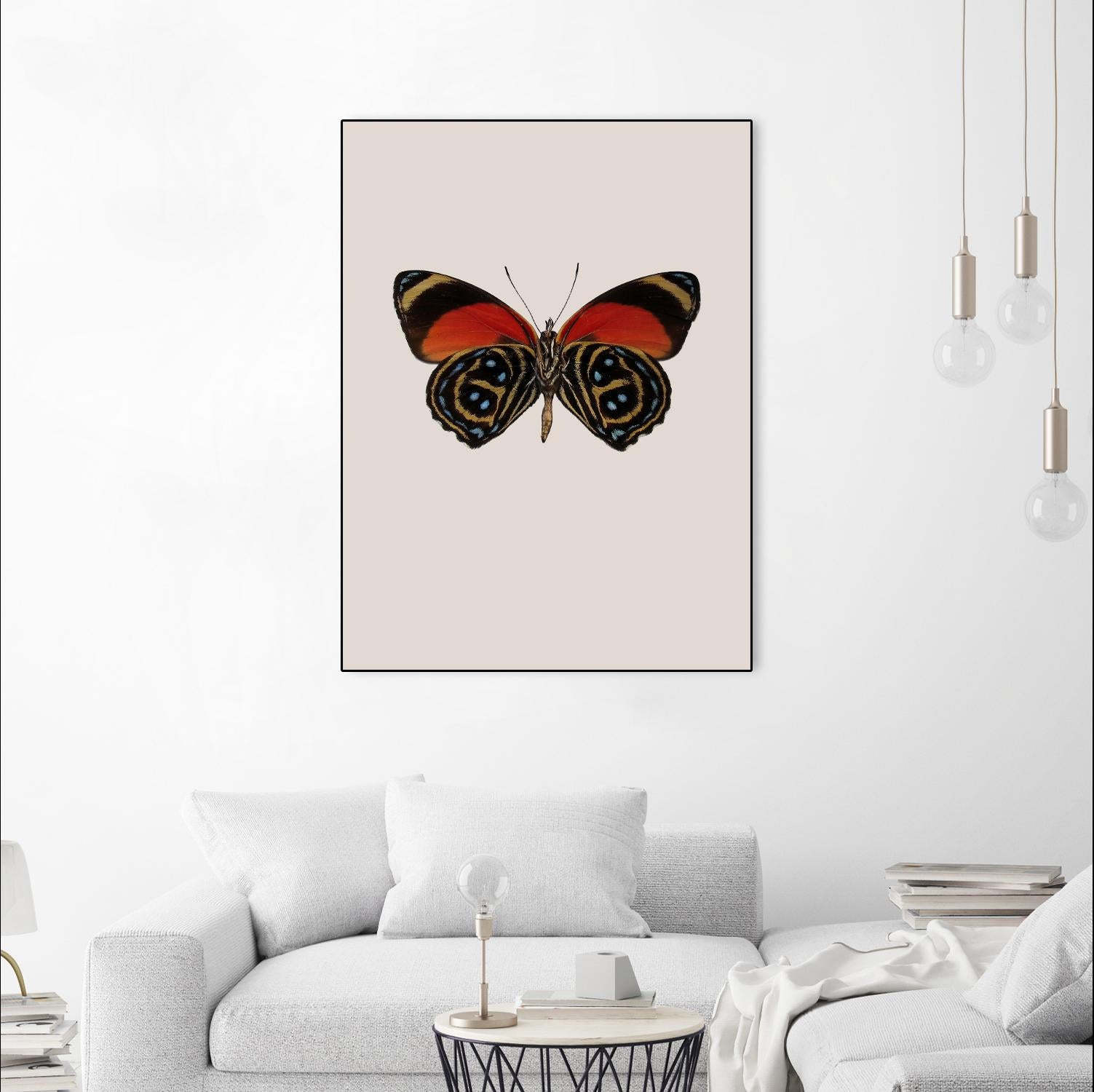 Agrias amydon by Incado on GIANT ART - multicolor animals; floral/still life