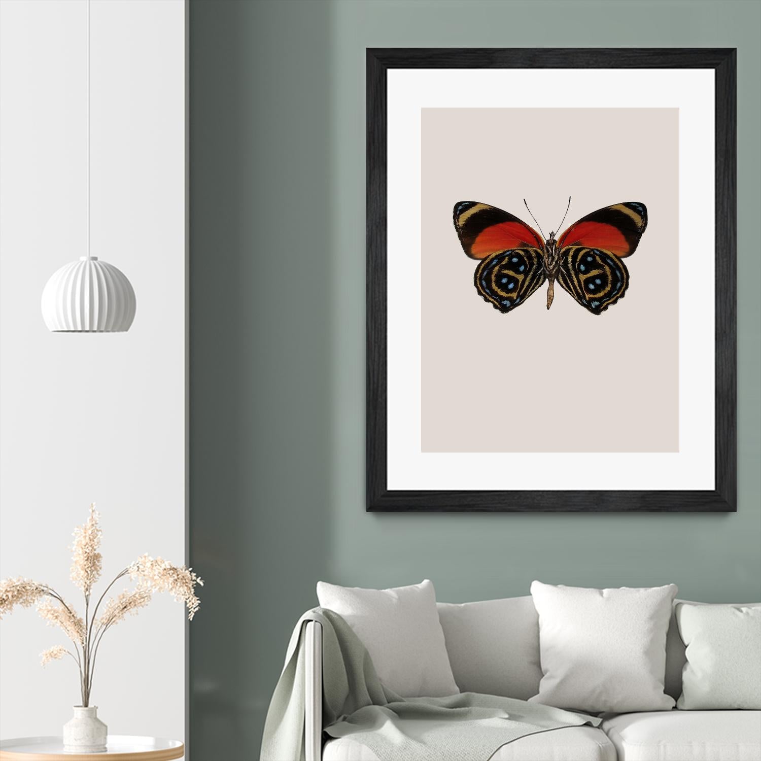 Agrias amydon by Incado on GIANT ART - multicolor animals; floral/still life