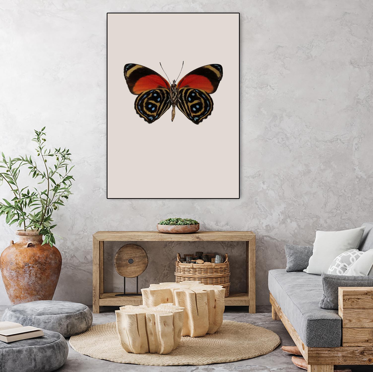 Agrias amydon by Incado on GIANT ART - multicolor animals; floral/still life